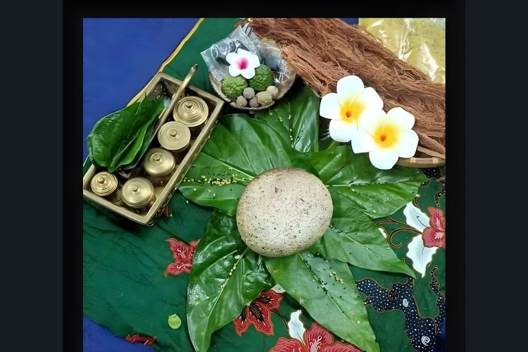 Fatin Confinement Lady