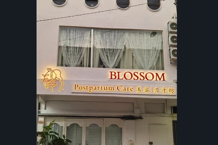 Blossom Postpartum Care 