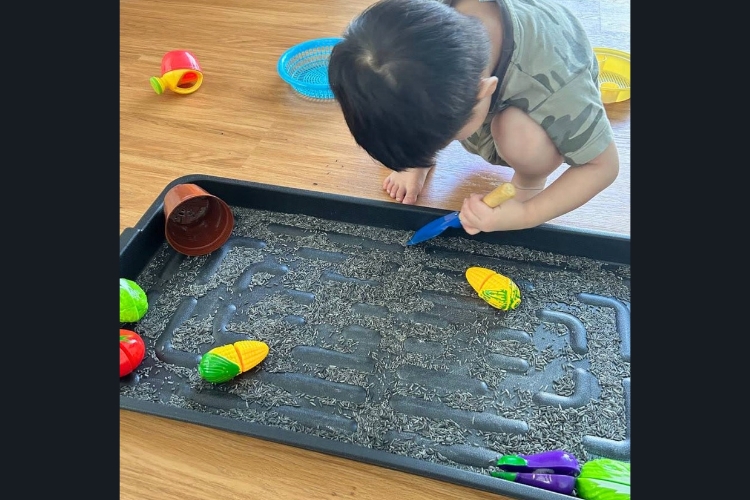 Space A Autism Support and Enrichment Centre