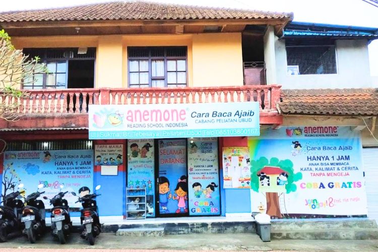 Les Baca Tulis Anemone Peliatan Ubud Gianyar