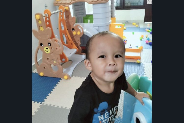 Koalakids Playhouse 