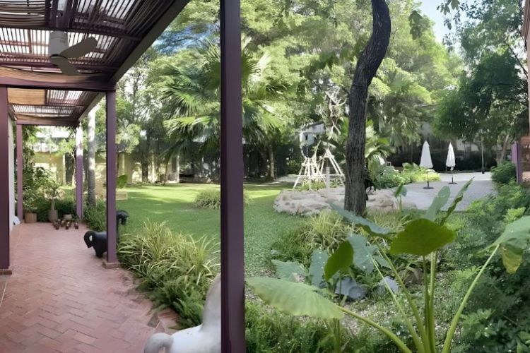 Curious Kind Early Childhood Centre