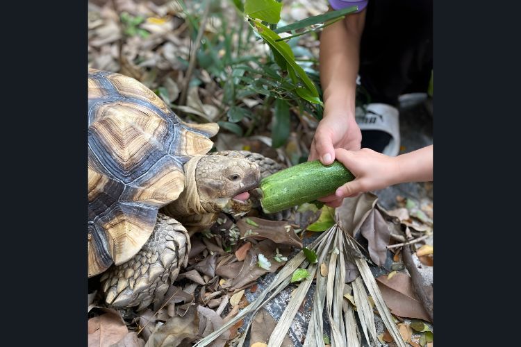 Curious Kind Early Childhood Centre