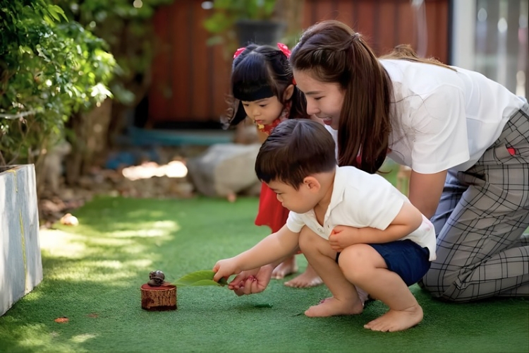 Premium Nanny Teacher Academy