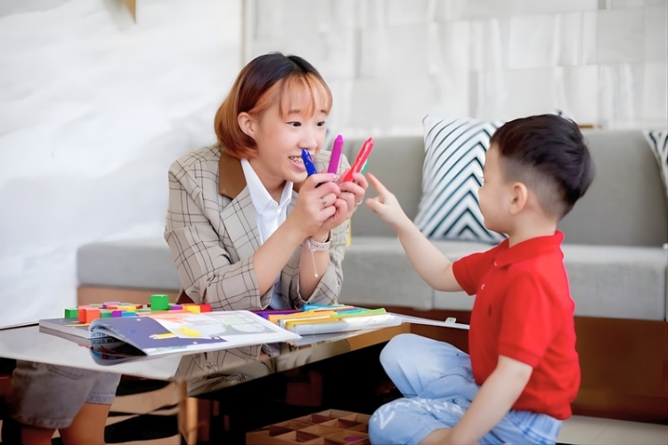 Premium Nanny Teacher Academy