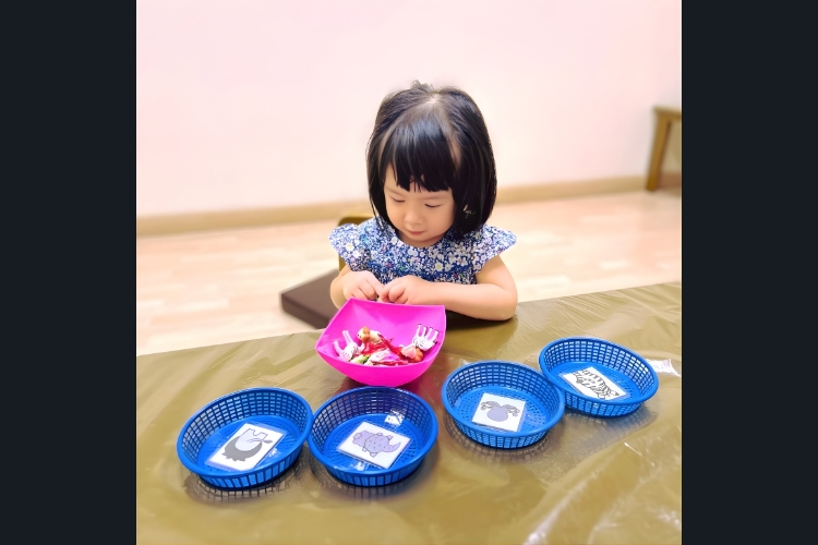 Shichida (Thailand)