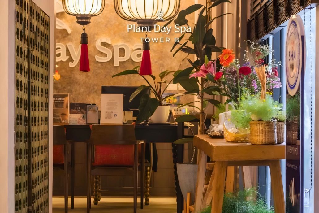 Plant Day Spa 