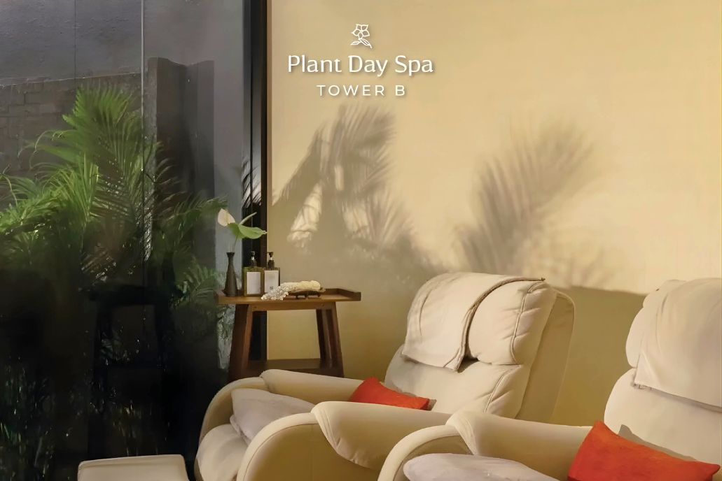 Plant Day Spa 