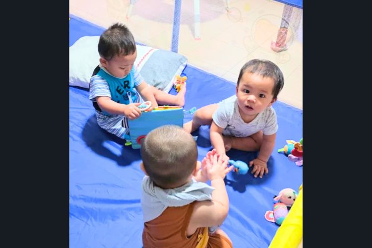 EduNanny – Innovating Childminding Excellence