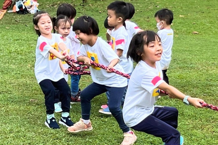 Tree Dolphin Childcare Centre