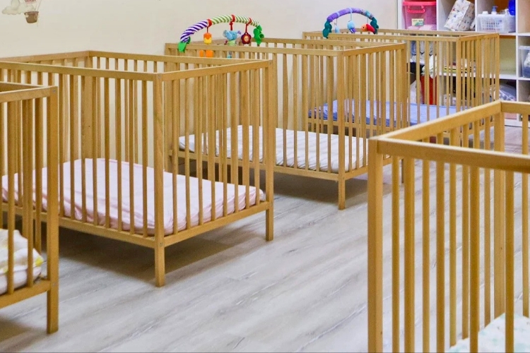 Tree Dolphin Childcare Centre