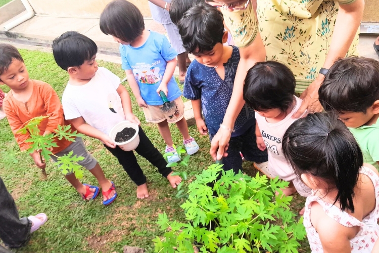 Early Literacy Childcare Centre