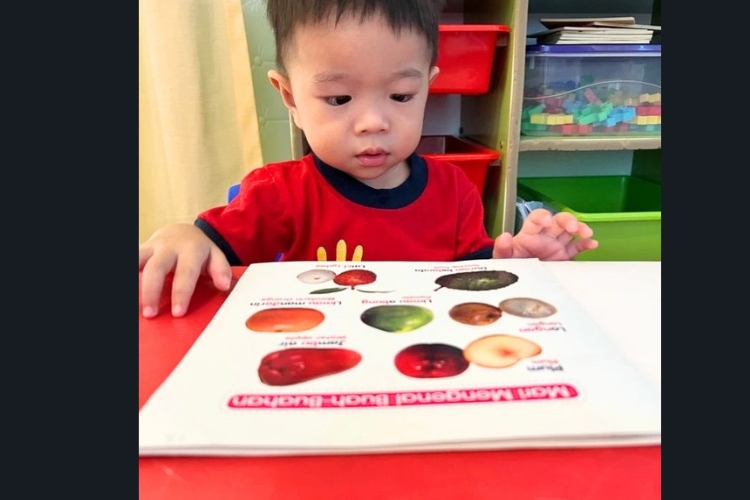 Play N Joy Baby Centre