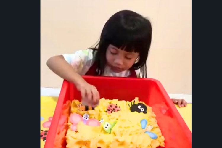 Kiddiesland 24 Hours Childcare