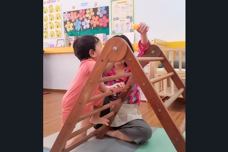 Tiny Bees Child Care Centre