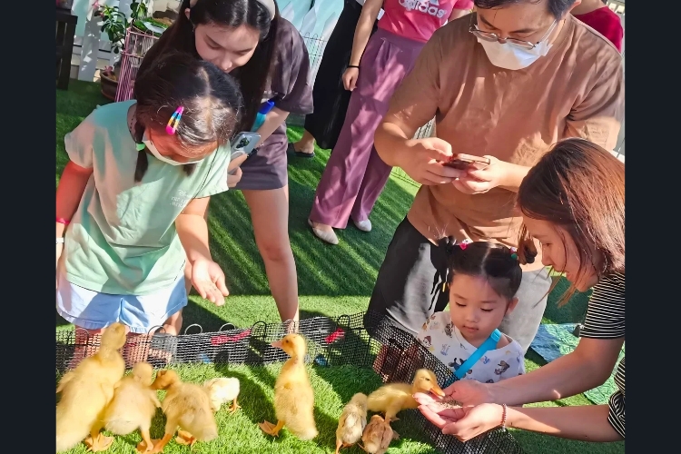 FireflyKidz Childcare Centre