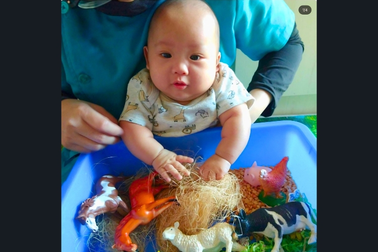 OWL Baby and Childcare Centre