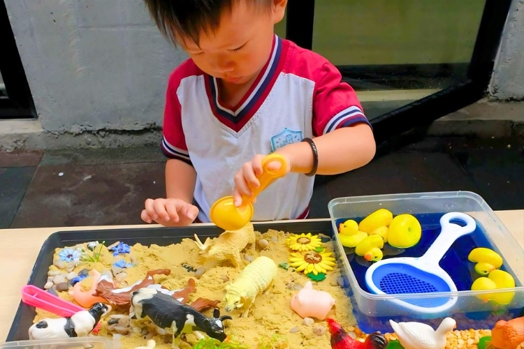 OWL Baby and Childcare Centre