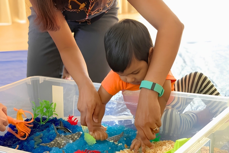 Curious Child Center