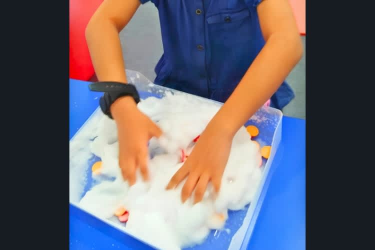 Afa Speech Language & Occupational Therapy Centre