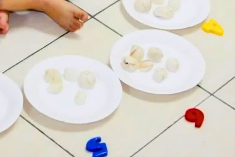 Afa Speech Language & Occupational Therapy Centre