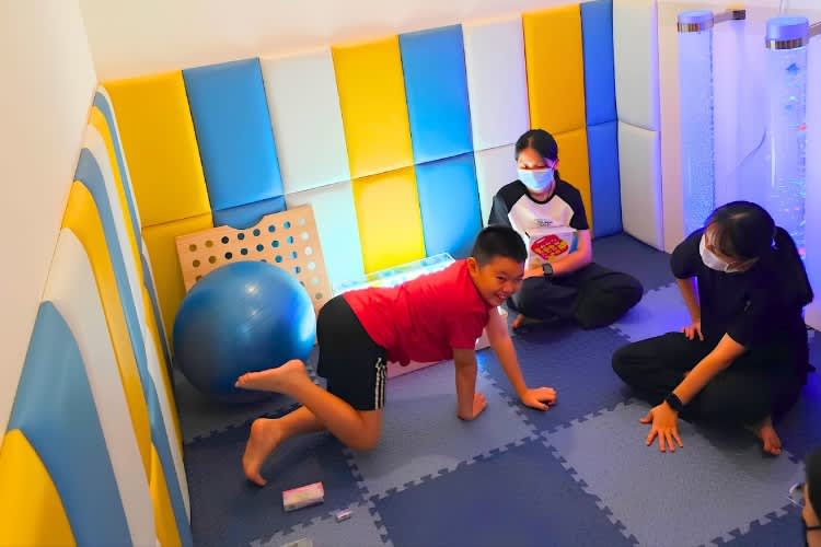 Rise N Shine Therapy Centre (HQ)