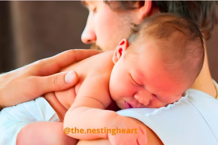 The Nesting Heart Sdn. Bhd.