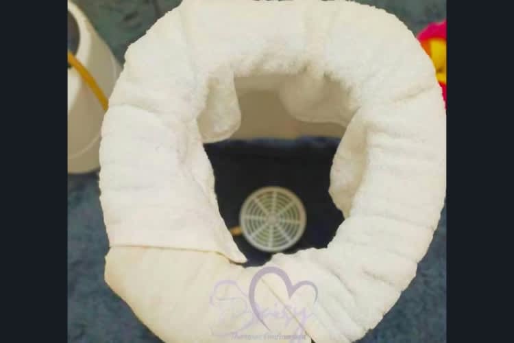 Daisy Therapist Homespa Wellness