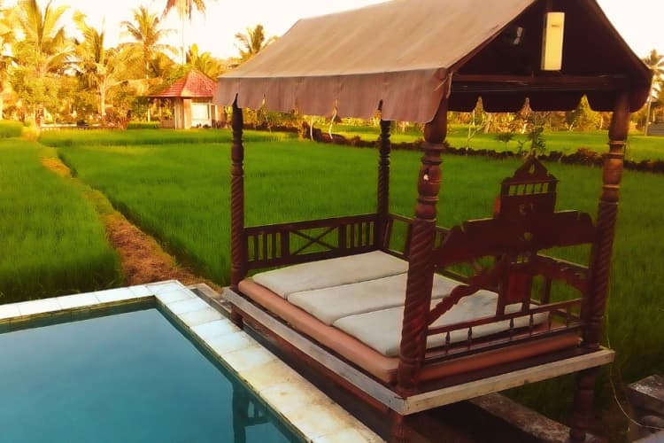 7 Day Solo Travelers Retreat: Yoga, Culture & Fun, Bali