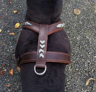 Dog Harness Oiled Leather