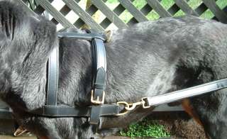 Dog Harness Carting/Drafting Leather
