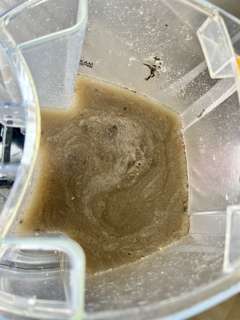 CARPET WASH