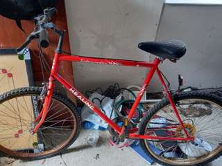 Cycle