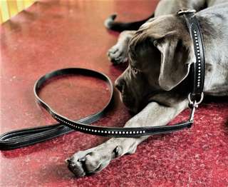 CRYSTAL STUDDED DOG COLLAR & LEAD SET IN GENUINE LEATHER