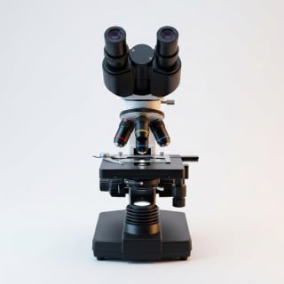 Science & technology