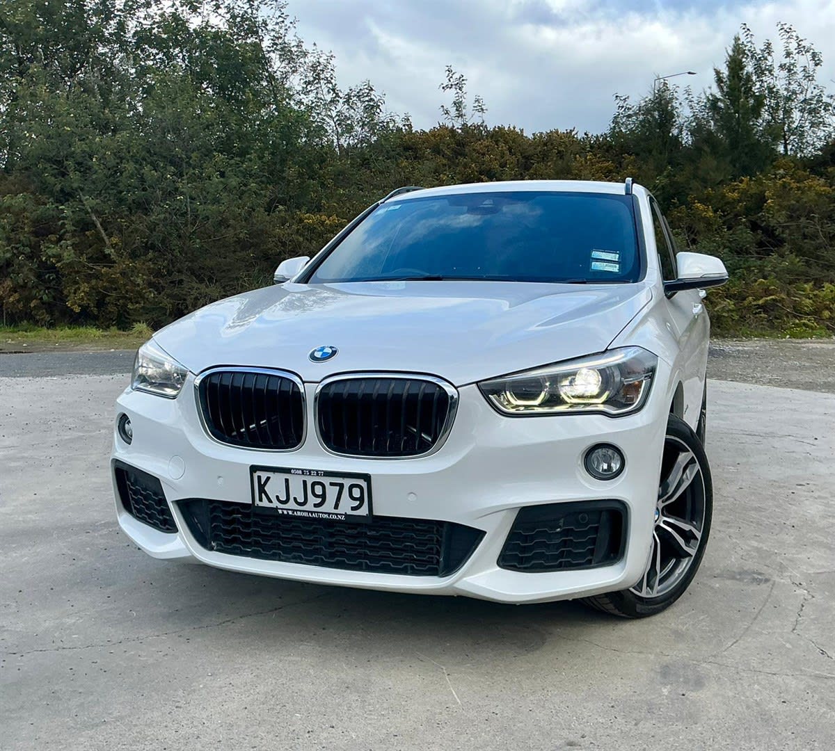2017 BMW X1 sDrive18d 2.0D Automatic
