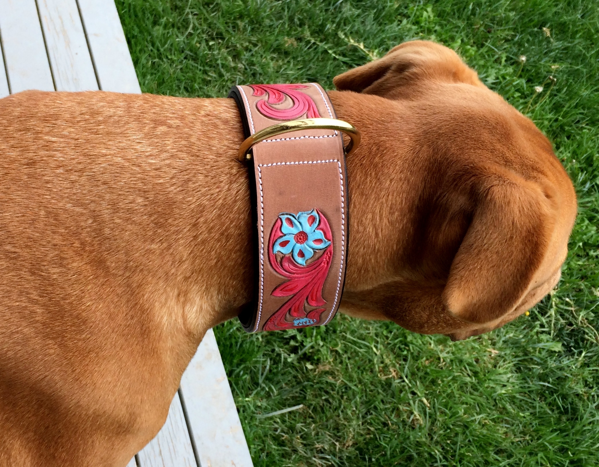 Dog Collar Carved & Painted