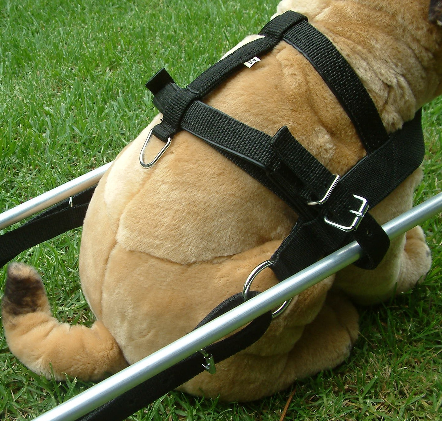 Dog Harness Carting Drafting