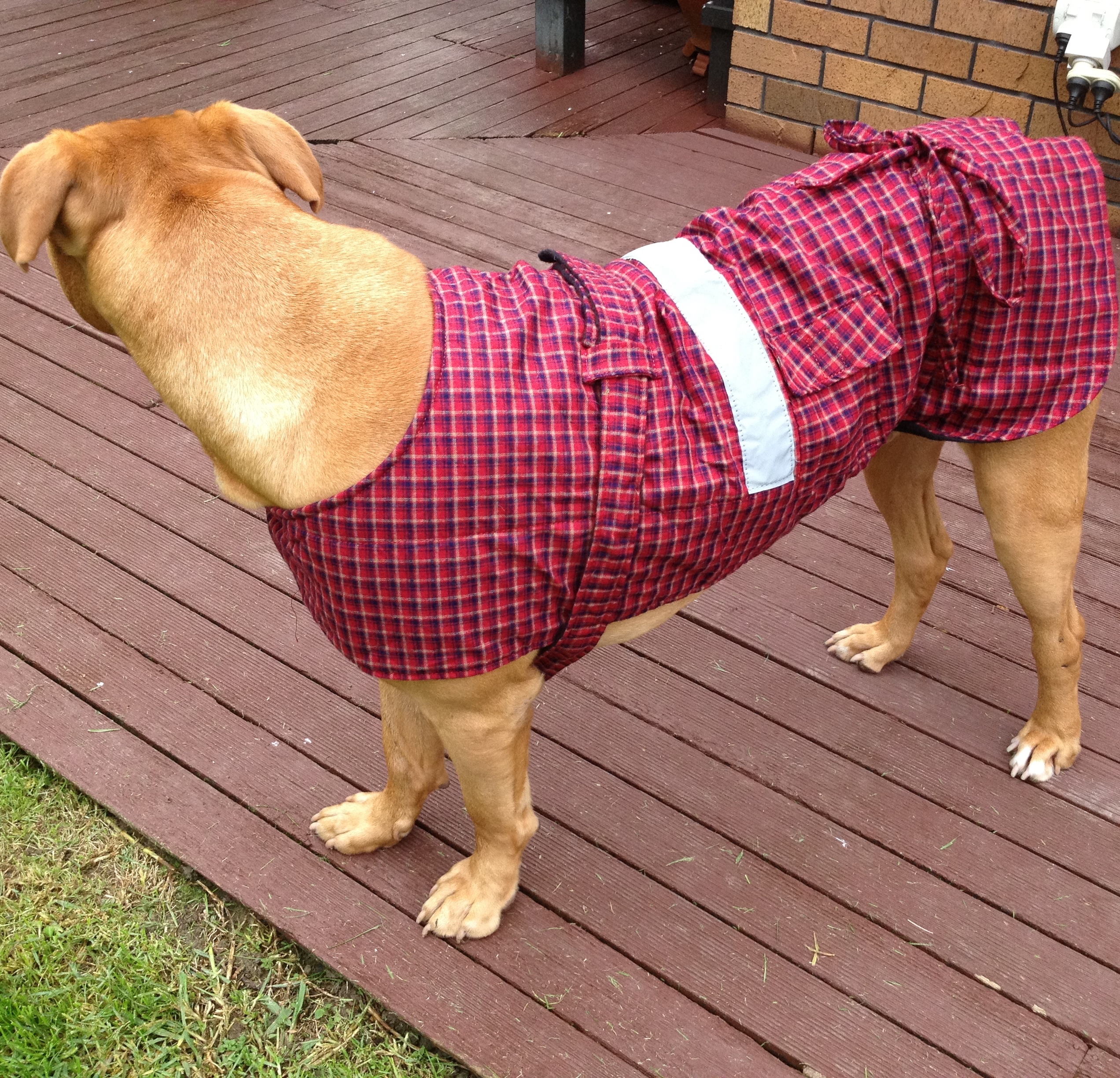 Dog Jacket Cotswool XL