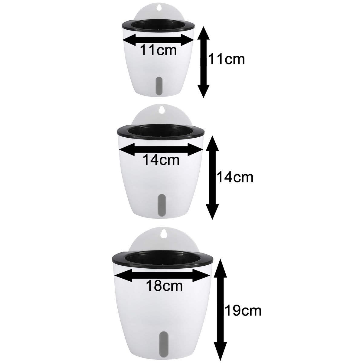 880016095-2_leo5xg.jpg