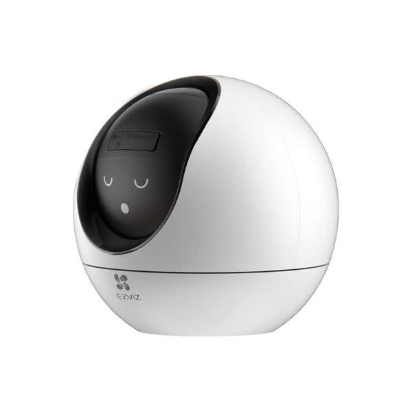 89001481-4.jpg