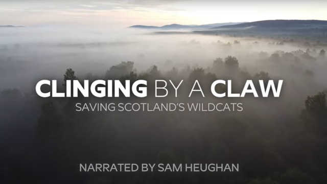 TRAILER NOW LIVE: CLINGING BY A CLAW NARRATED BY SAM HEUGHAN