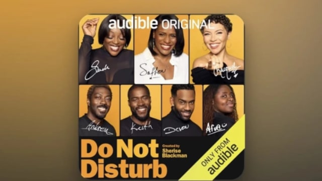 Do Not Disturb: Good Sex in Progress written by and starring Sherise Blackman is available now