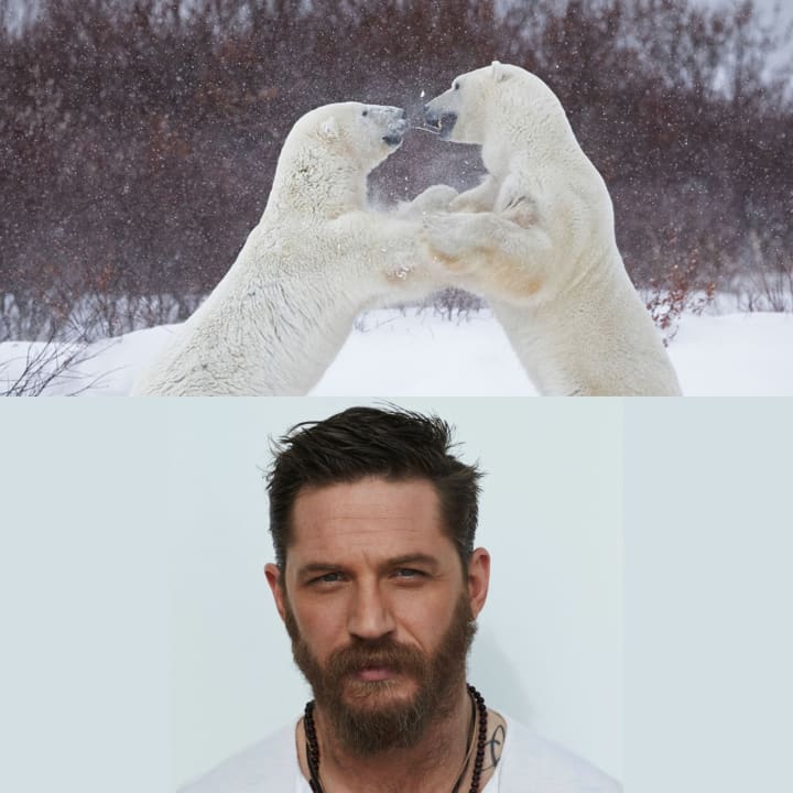 Tom Hardy to narrate new Sky Nature Documentary, 'Predators'