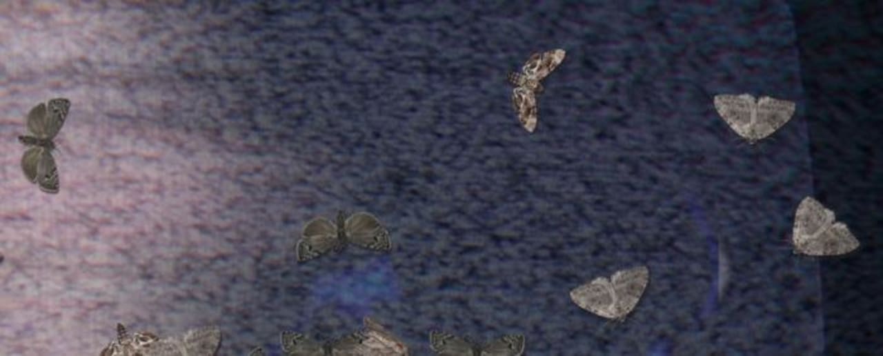 MOTH opens at HighTide