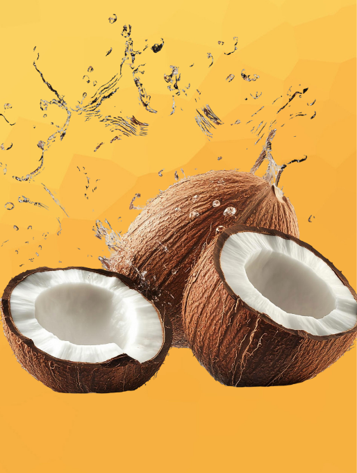Coconut Oil