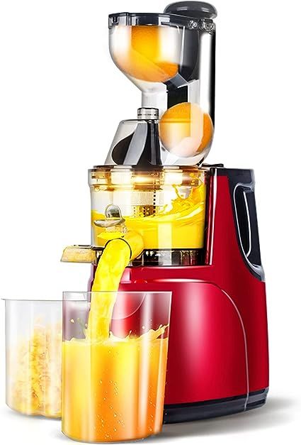 Fruit juicer