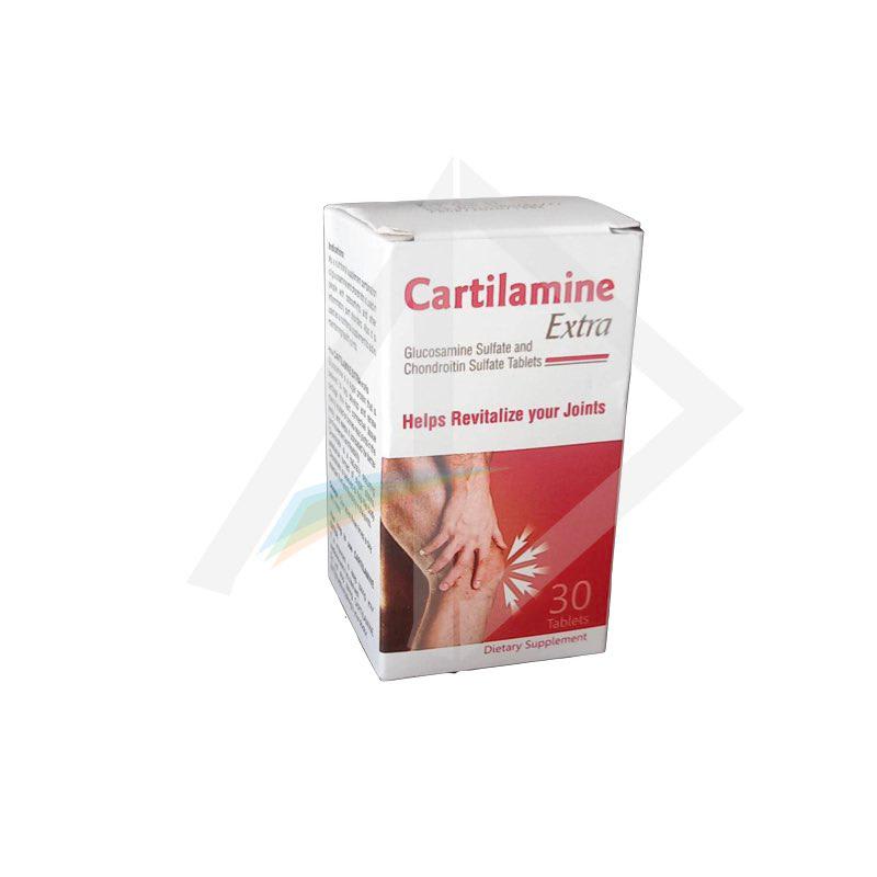 Cartilamine 500/400mg Glucosamine &amp; Chondroitin - 1 Strip of 10 Tablets