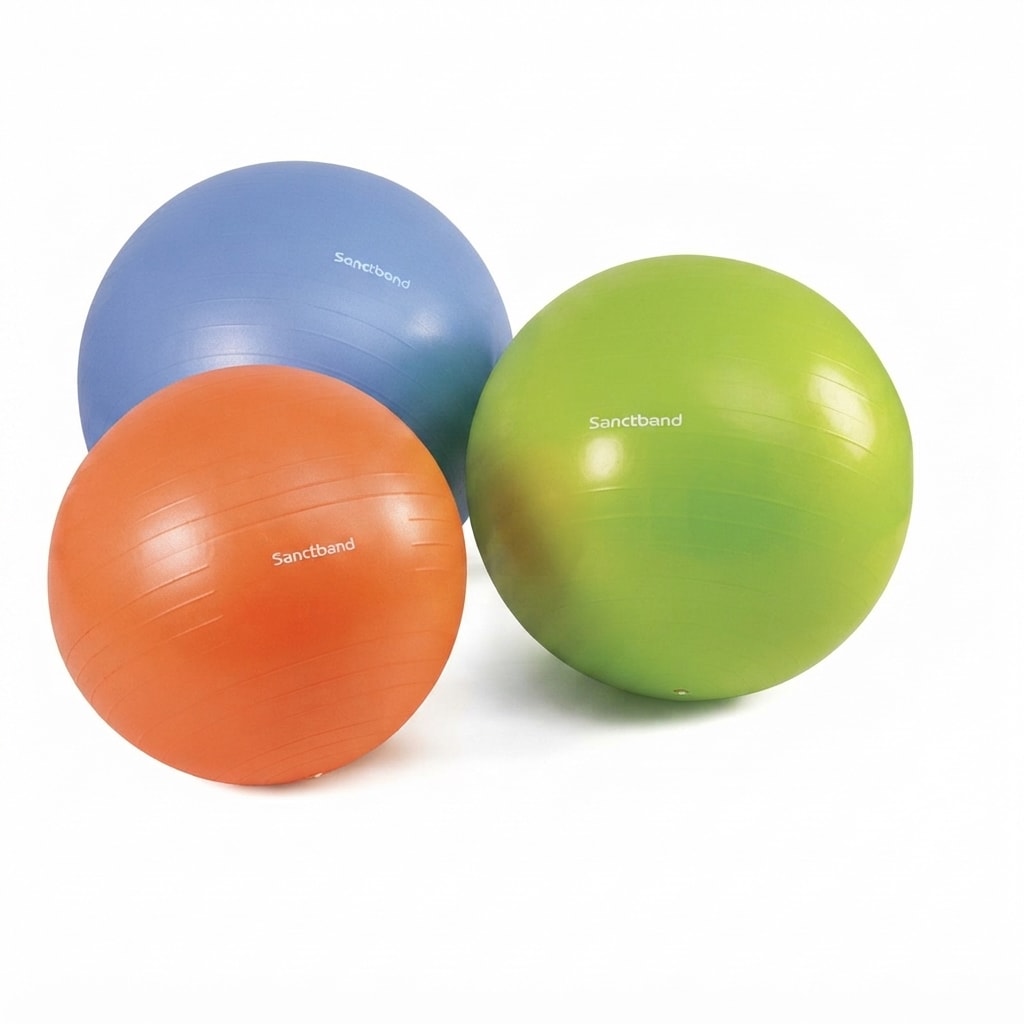 Sactiband Gym Ball