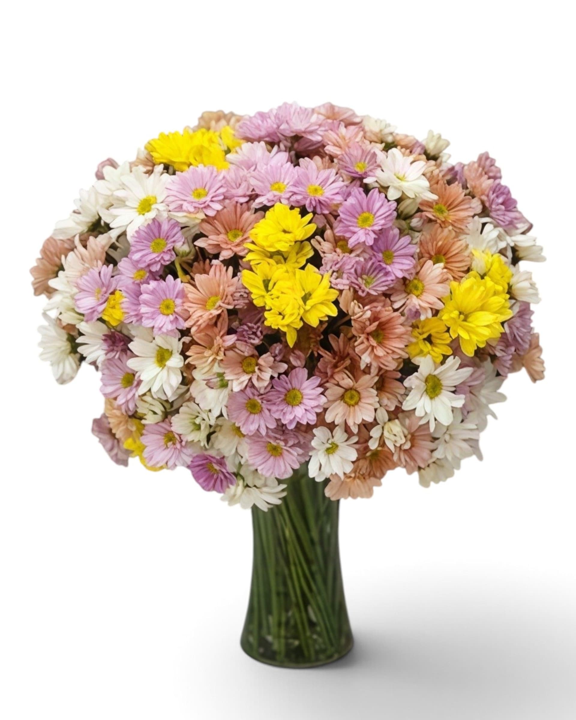 Rainbow Mum Mixed Spray Chrysanthemum Vase